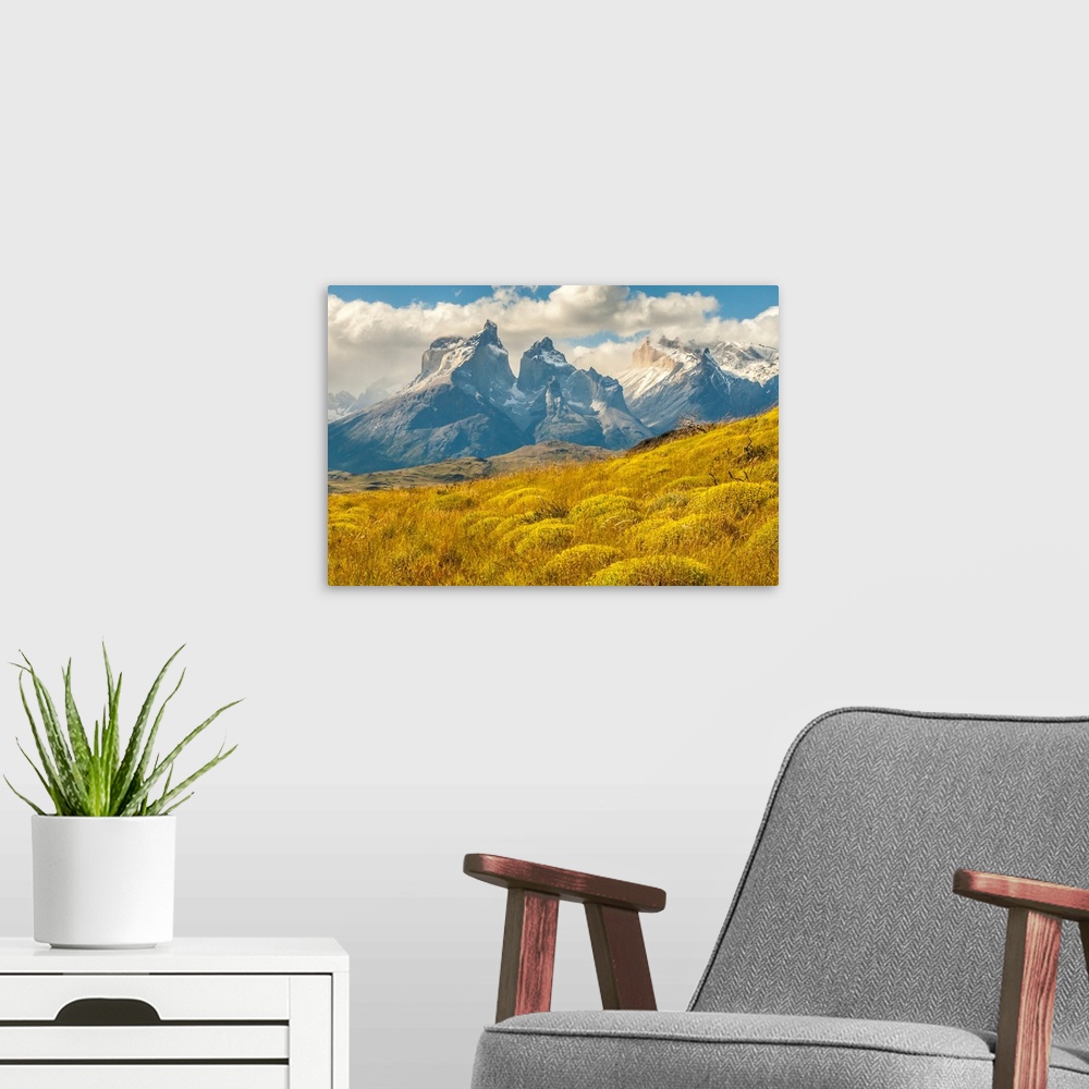 A modern room featuring South America, Chile, Patagonia. The Horns mountains.