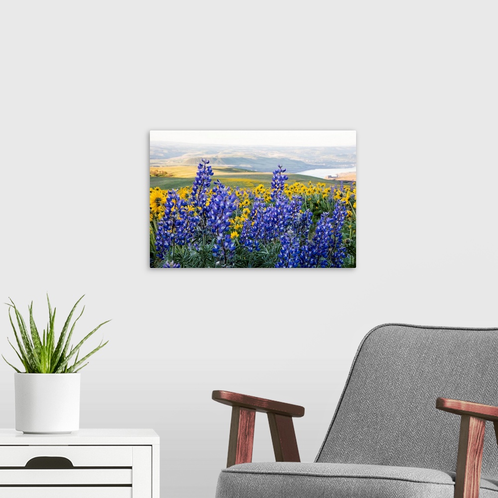 A modern room featuring United States, Oregon, Columbia River Gorge, Landscape aloong the Gorge
