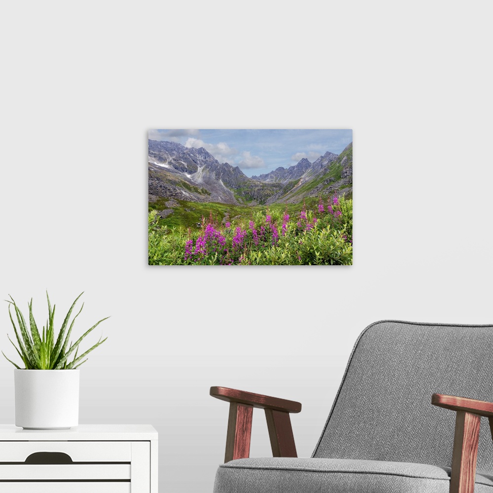A modern room featuring USA, Alaska, Talkeetna Mountains. Mountain landscape with fireweed flowers.