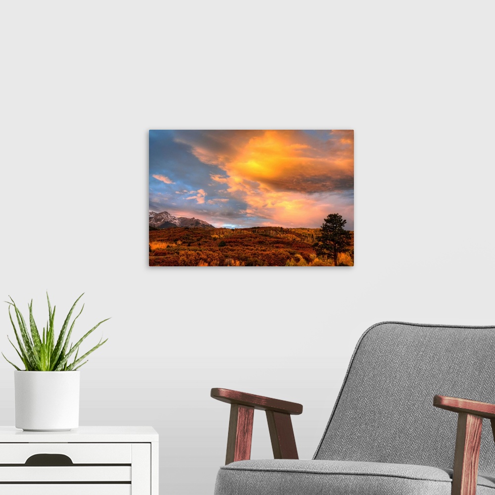A modern room featuring USA, Colorado, San Juan Mountains. Sunset on forest landscape.
