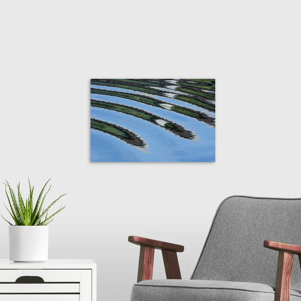 A modern room featuring USA. Green trees reflected in river with ripples on the water.