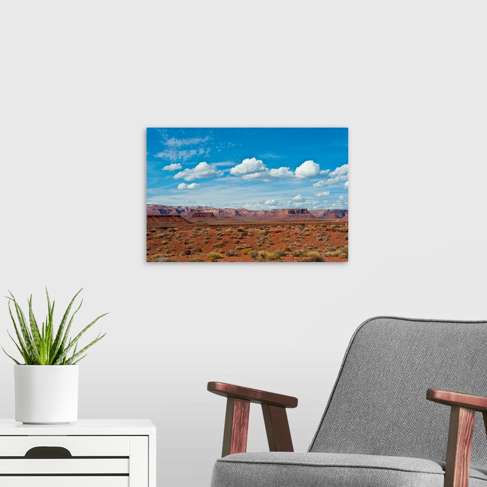 A modern room featuring North America, USA, Utah, Bluff, Valley of The Gods, Panorama, Bears Ears National Monument