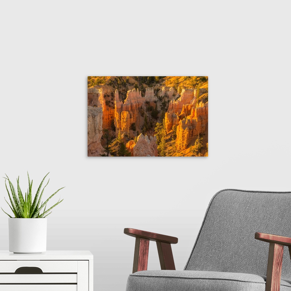 A modern room featuring USA, Utah, Bryce Canyon National Park. Canyon overview.