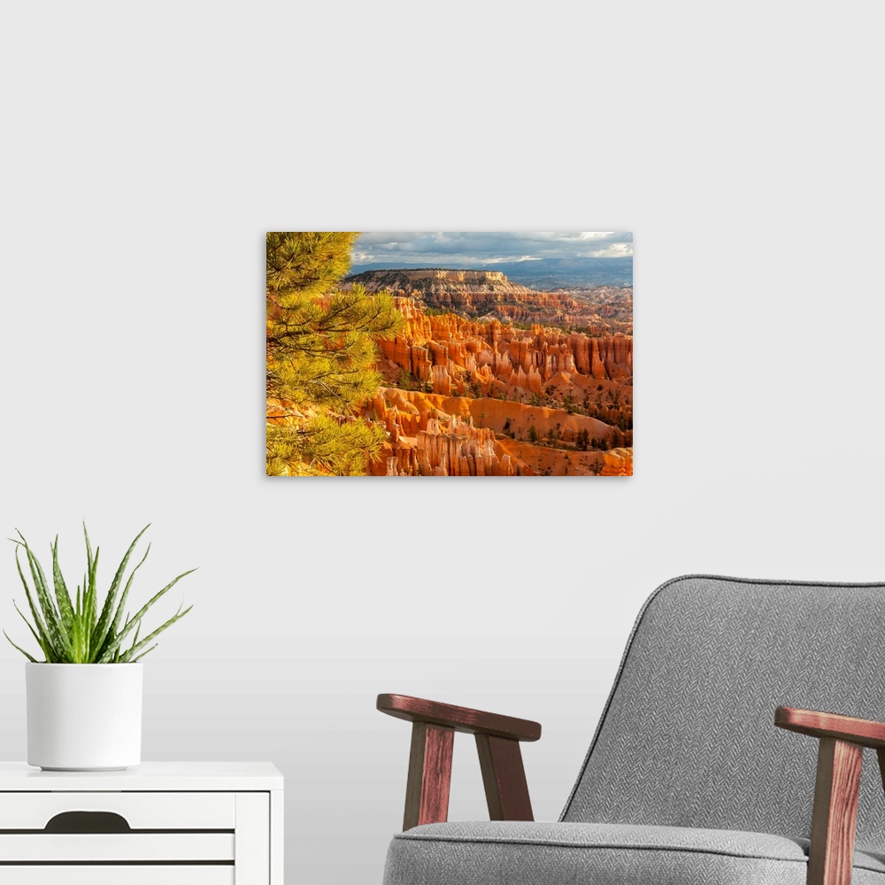 A modern room featuring USA, Utah, Bryce Canyon National Park. Overview of canyon formations.