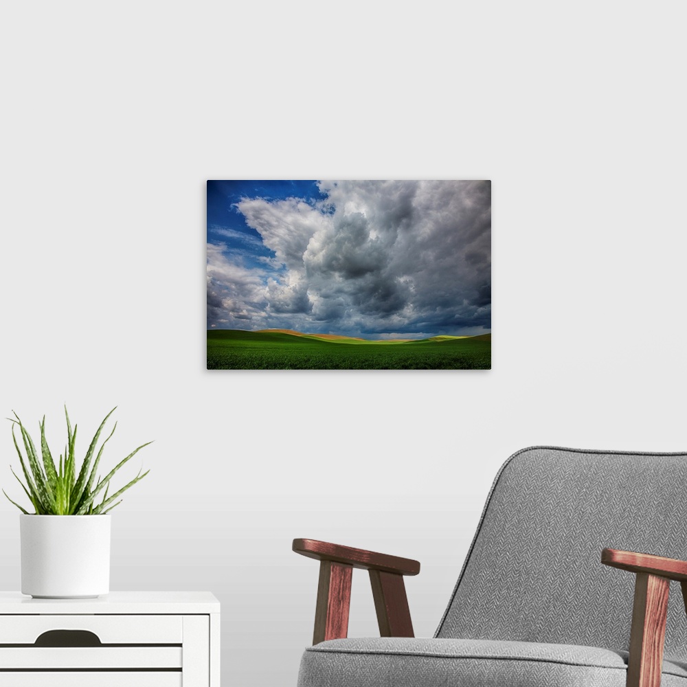 A modern room featuring North America, USA, Washington, Palouse Country, Spring Rolling Hills of Wheat and Fallow fields