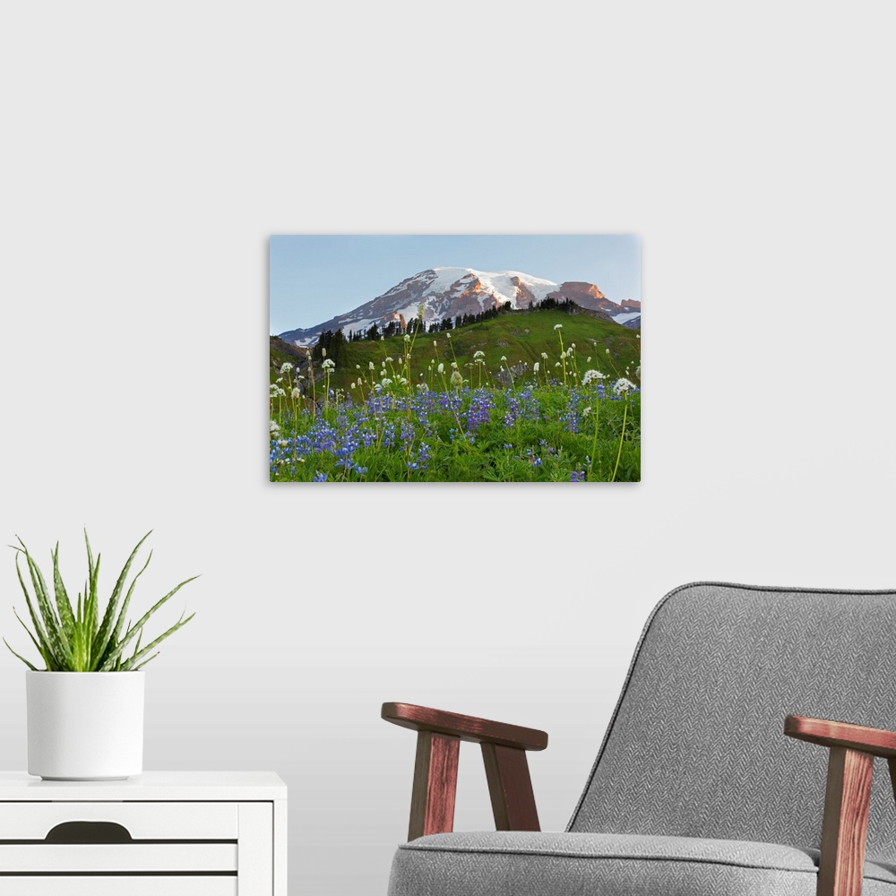 A modern room featuring WA, Mount Rainier National Park, Mount Rainier and Wildflowers