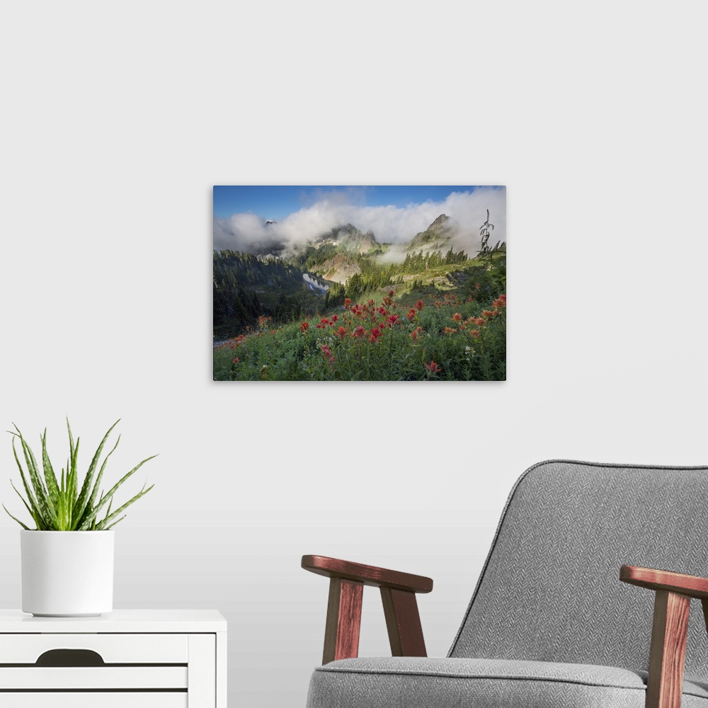 A modern room featuring USA. Washinton State, Mt. Rainier National Park. Indian Paintbrush foreground looking toward east...