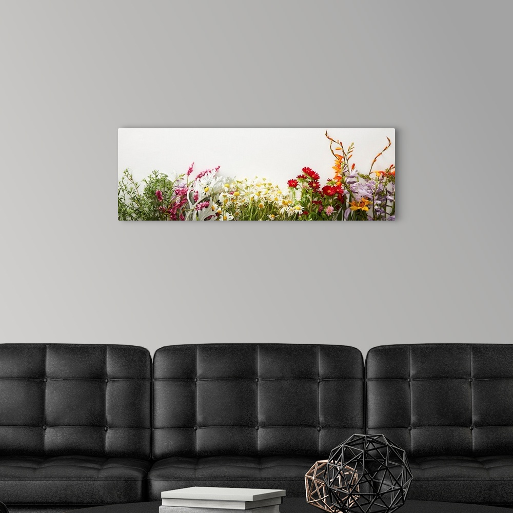 Panoramic Shot Of Bunches Of Diverse Wildflowers On White Background ...