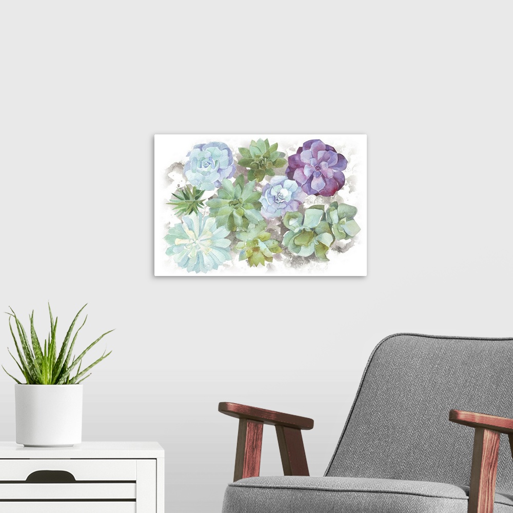 A modern room featuring Watercolor Succulents