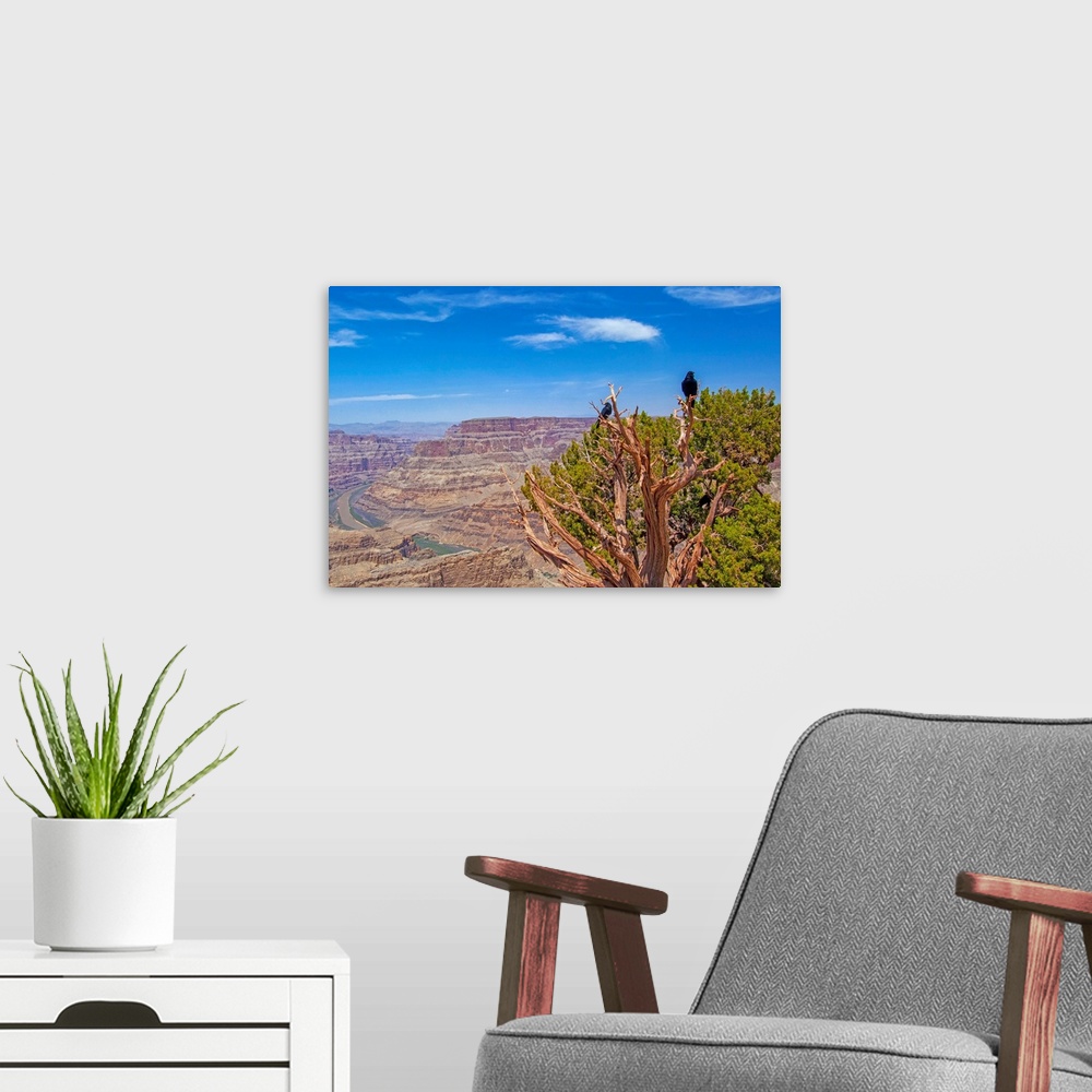 A modern room featuring Arizona, Grand Canyon West, Canyon view with Colorado River from West Rim