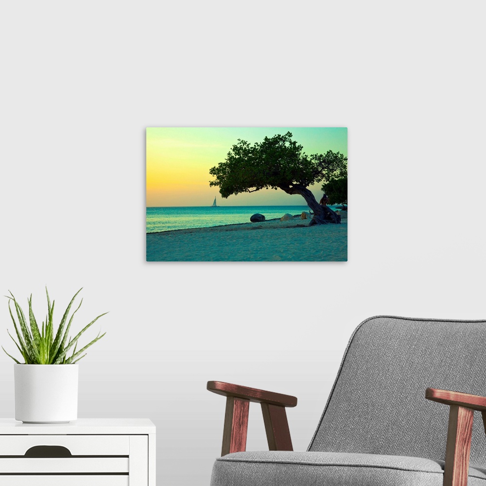 A modern room featuring Aruba, Eagle beach, Divi tree at sunset