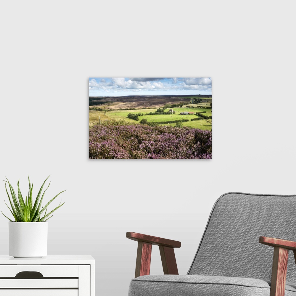 A modern room featuring England, North Yorkshire Moors National Park, Heather moor at Levisham