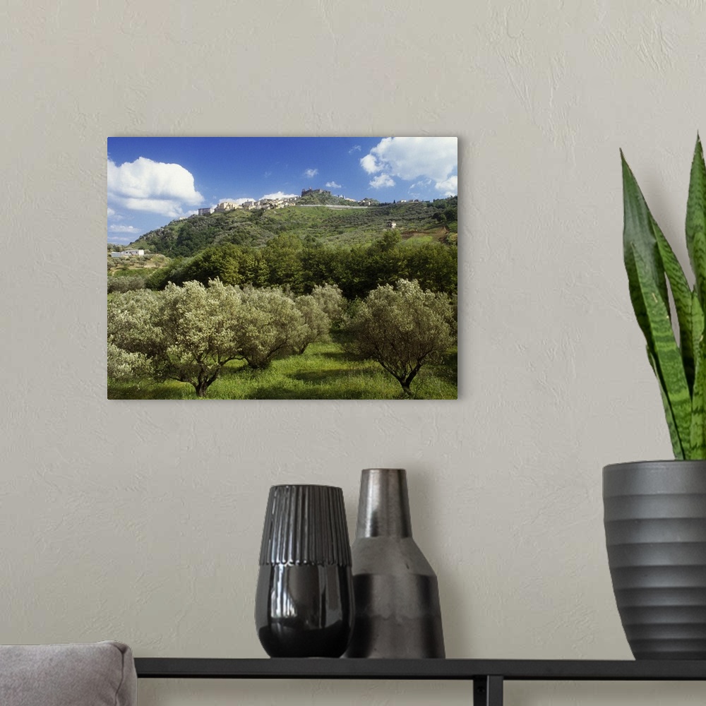 A modern room featuring Italy, Calabria, Catanzaro district, Squillace, Landscape near the town