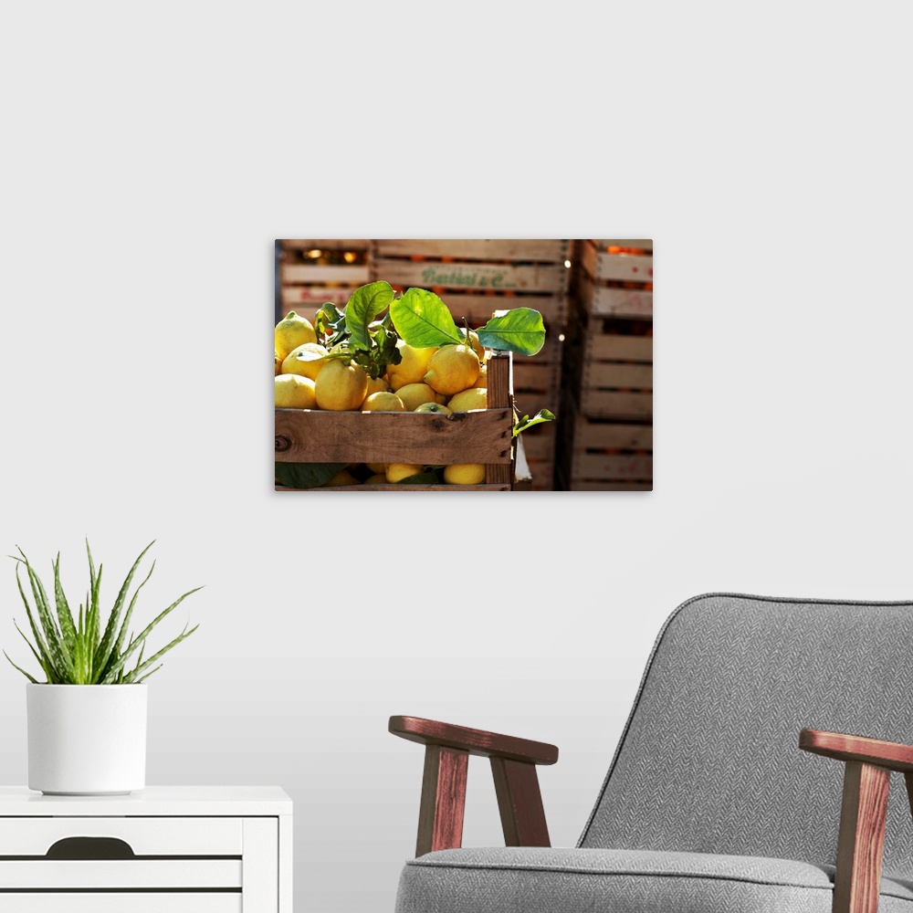 A modern room featuring Italy, Sicily, Agrigento district, Menfi, Crate of lemons
