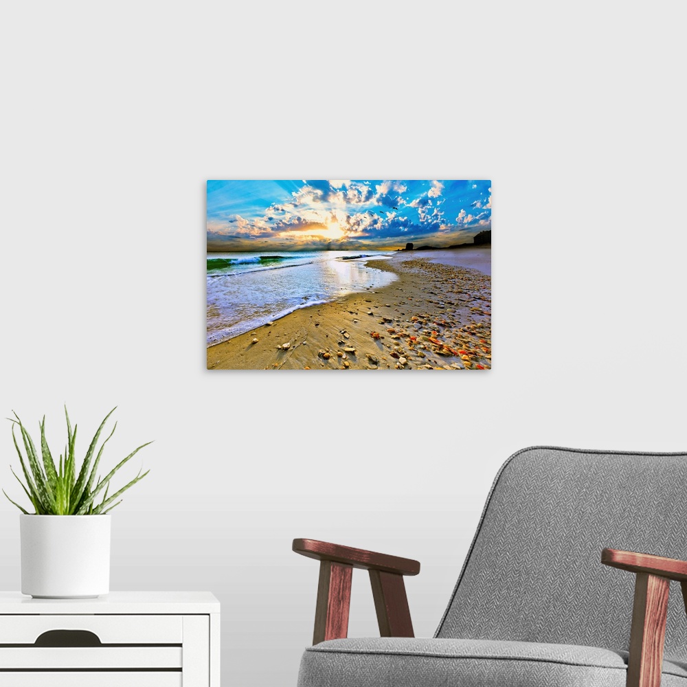 A modern room featuring A shell covered beach before an amazing beach sunset with shooting sun rays. Birds fly into the d...