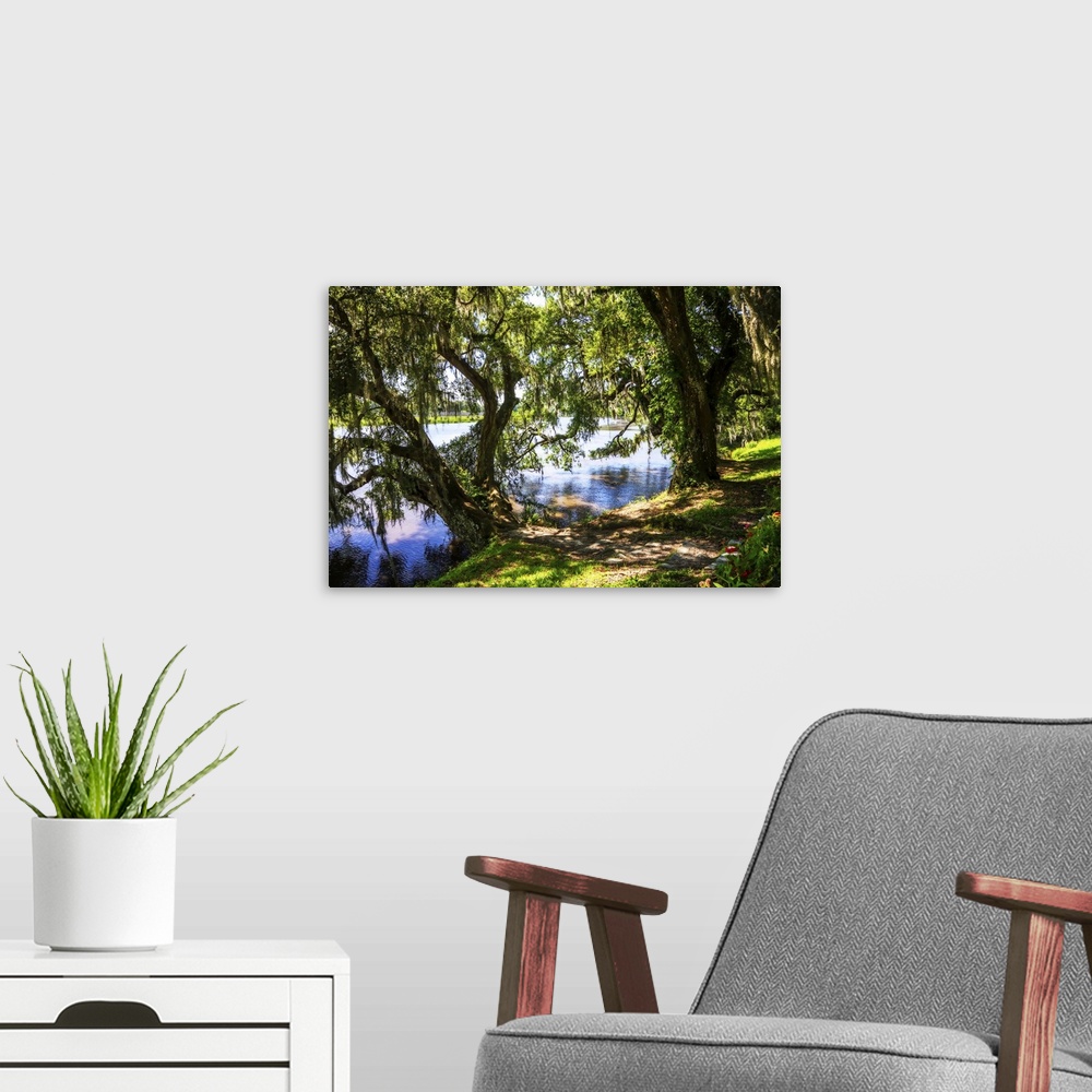 A modern room featuring Landscape photograph of the Ashley River bank lined with large trees on a sunny day.