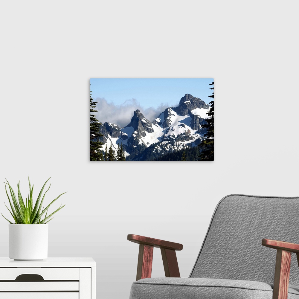 A modern room featuring Landscape photograph of the snowy peaks on Goat Island Mountain framed with tall pine trees