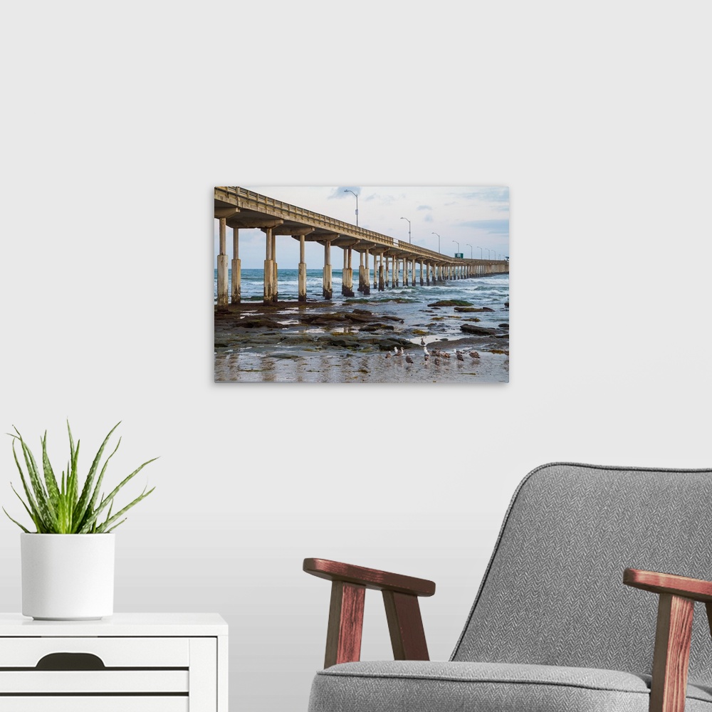 A modern room featuring Photograph of low tide reef and Ocean Beach Pier with sea gulls, California.