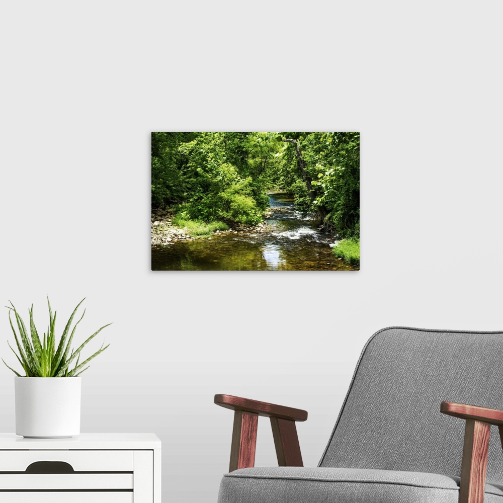 A modern room featuring A small creek in a green forest on a sunny day.