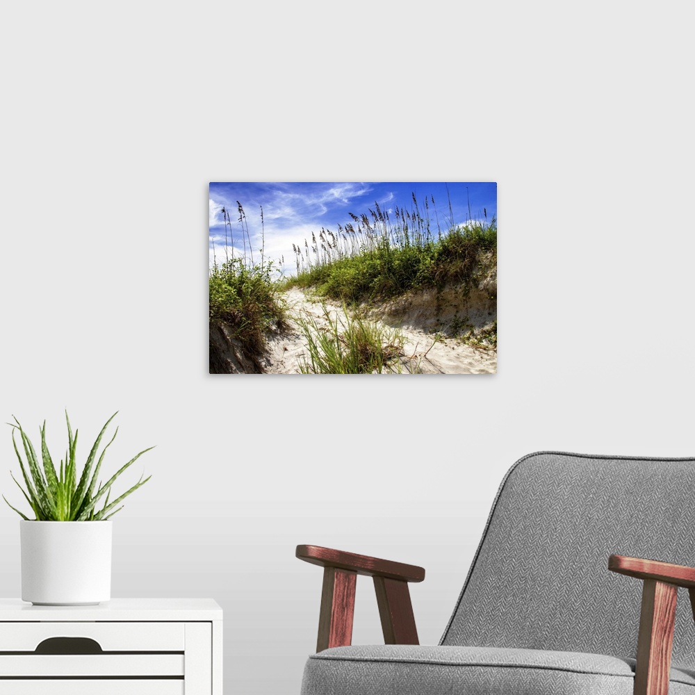 A modern room featuring Landscape photograph of a sandy path leading over a dune, Florida.