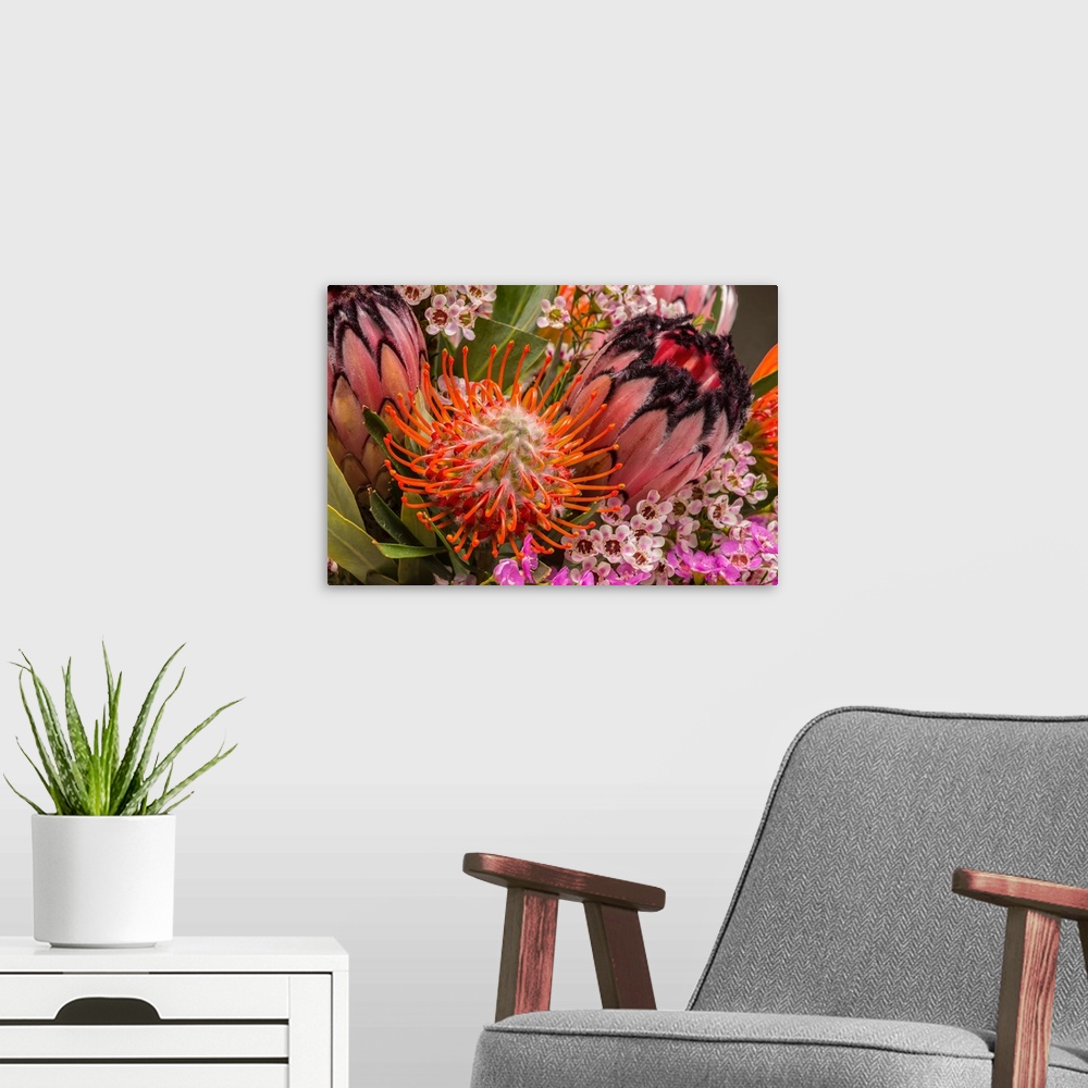 A modern room featuring Photograph of a close up of bouquet of tropical flowers.