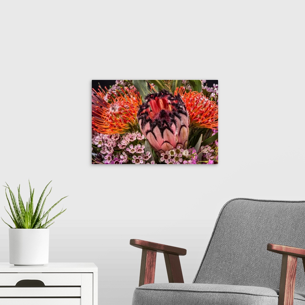 A modern room featuring Close-up of photograph of a bouquet of tropical flowers.