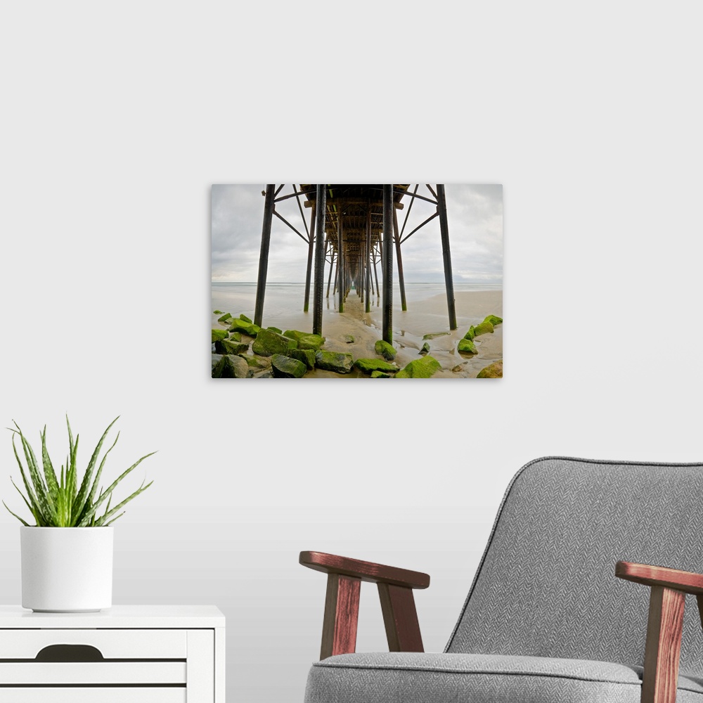 A modern room featuring Photograph under Oceanside pier with algae covered rocks at low tide.