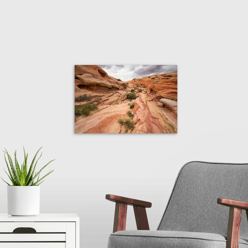 A modern room featuring Landscape photograph taken at Valley of Fire State Park in Nevada.