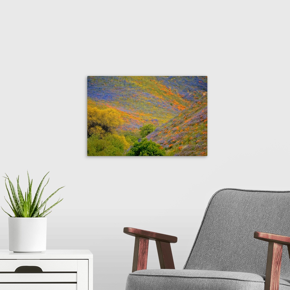 A modern room featuring Landscape photograph of rolling hills covered in purple and orange wildflowers.