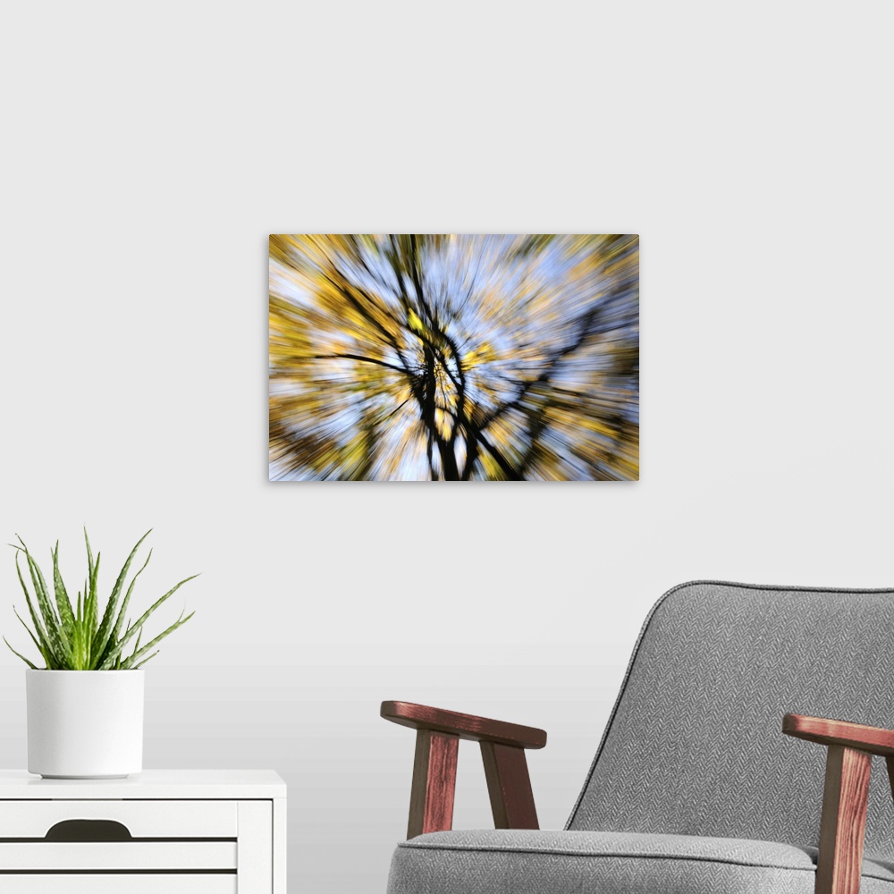 A modern room featuring A blurred tree