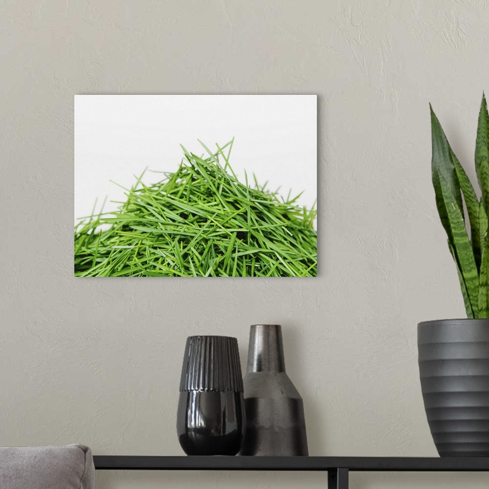A modern room featuring A pile of organic wheatgrass on a white background