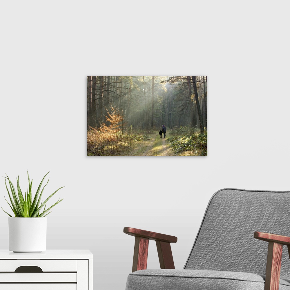 A modern room featuring A woman and a little girl in December forest, Western Ukraine, walking through the sunbeams. This...