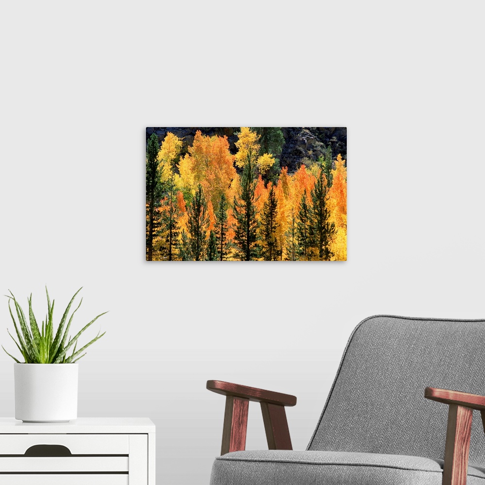A modern room featuring Autumn trees