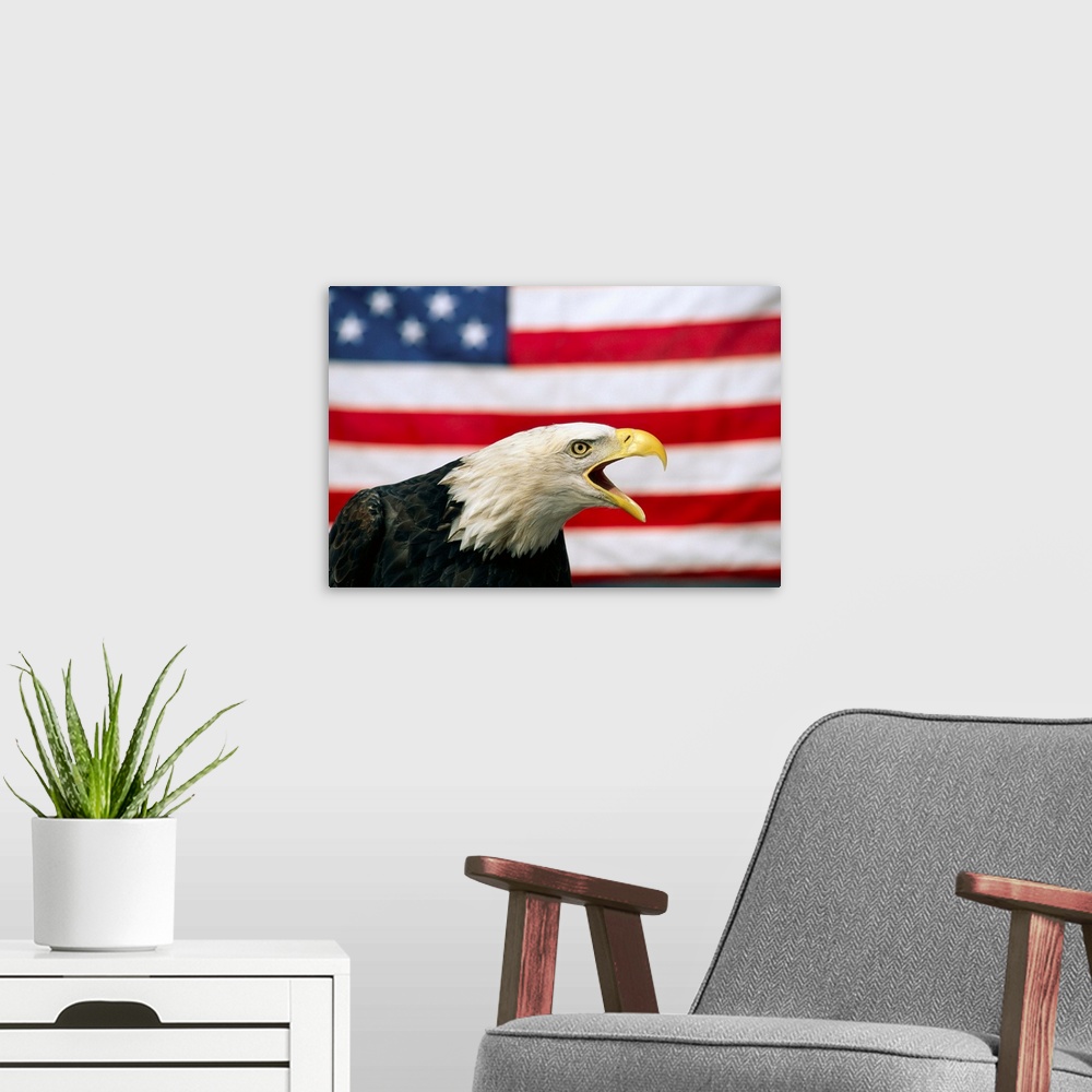 A modern room featuring Bald Eagle And American Flag