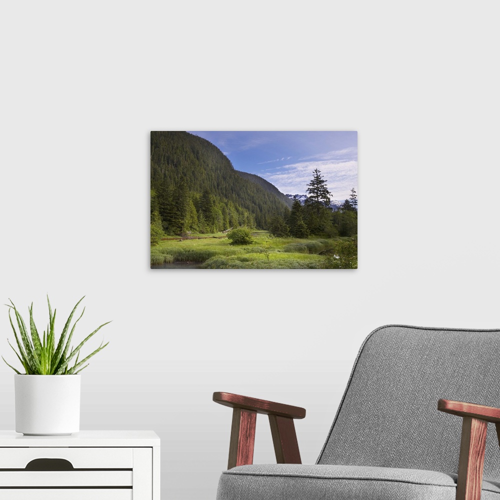 A modern room featuring Bedwell sound mountains and forest, Columbia