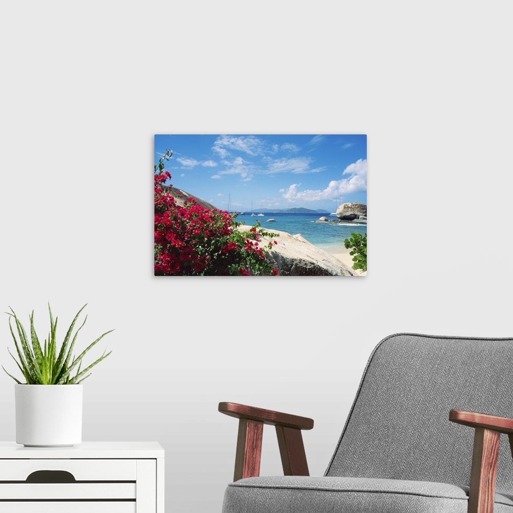 A modern room featuring Bougainvillea by beach in Spring Bay National Park on Virgin Gorda, British Virgin Islands