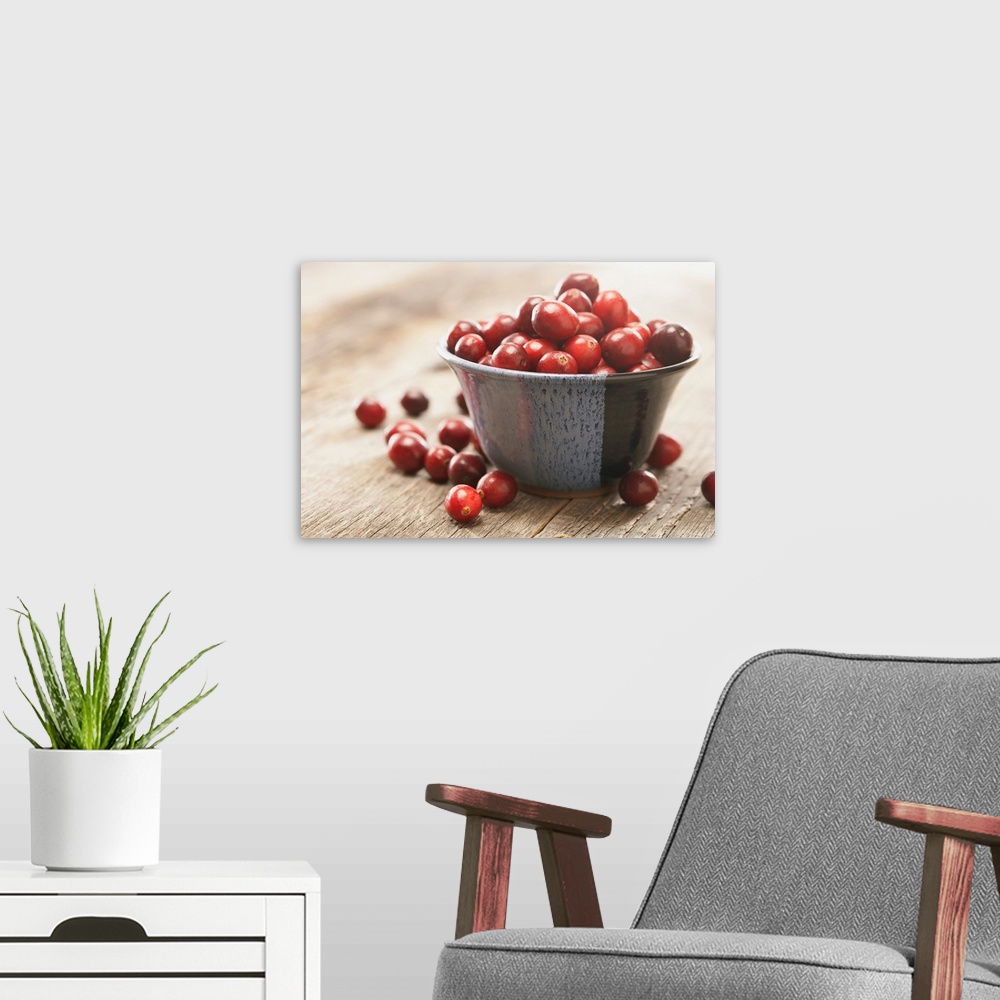 A modern room featuring Bowl Of Cranberries
