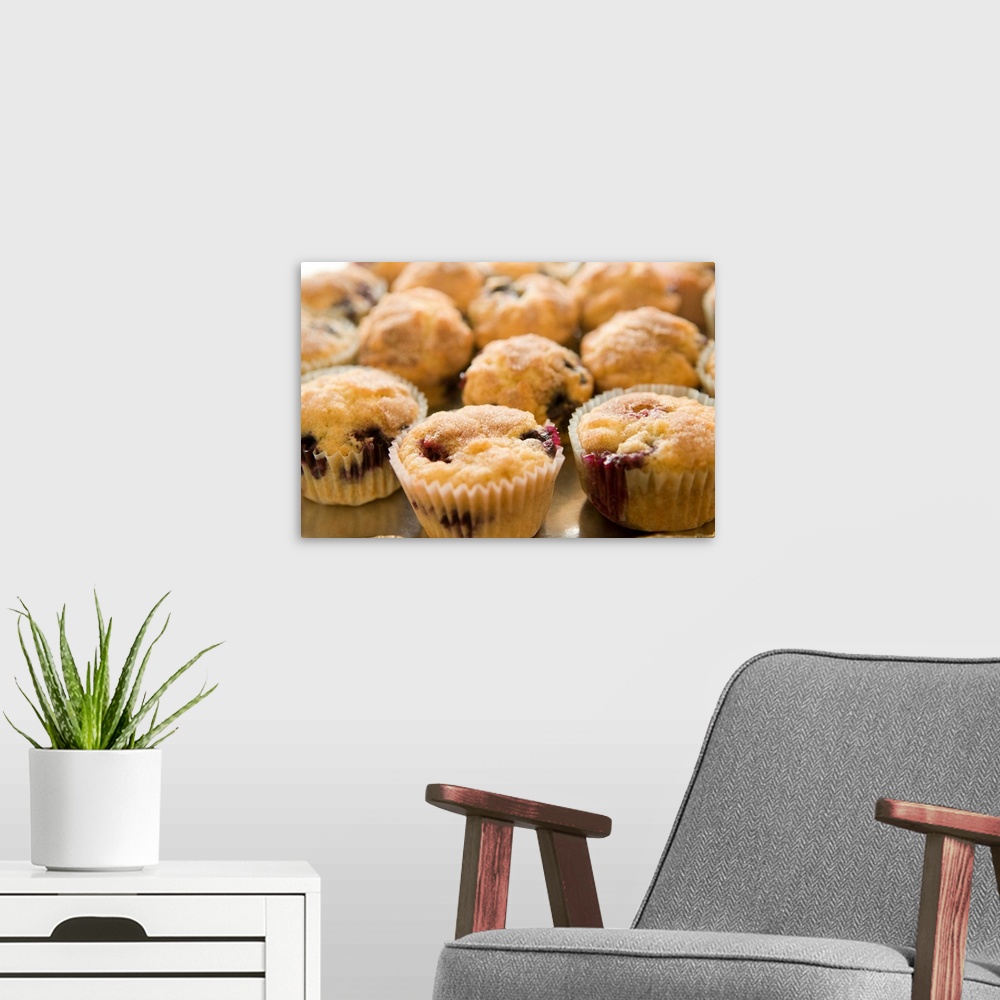 A modern room featuring Boysenberry muffins on a platter