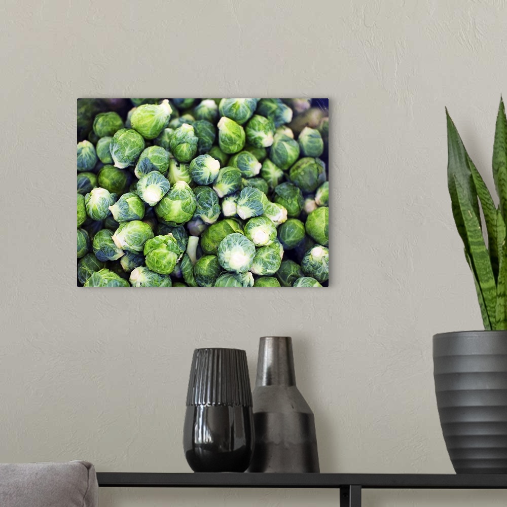 A modern room featuring Bright Green Fresh Brussels Sprouts