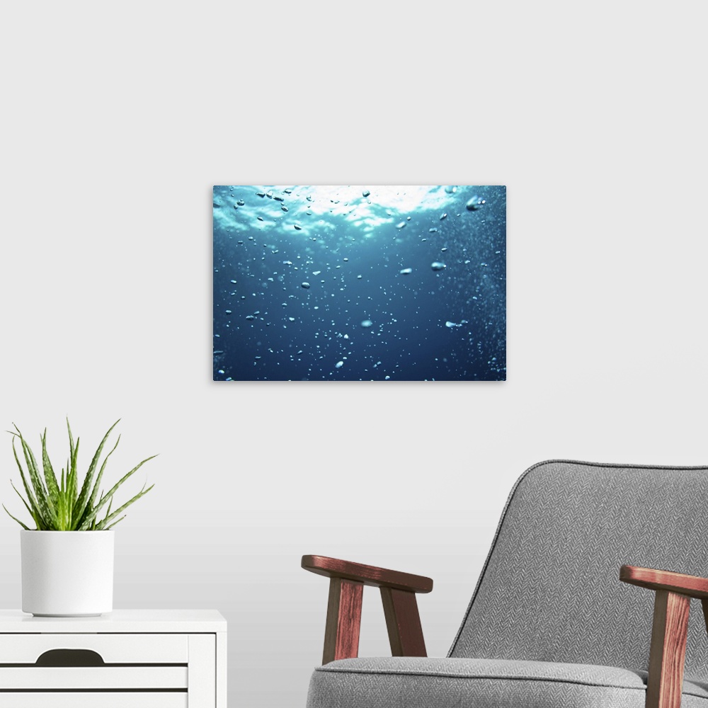 A modern room featuring Bubbles underwater