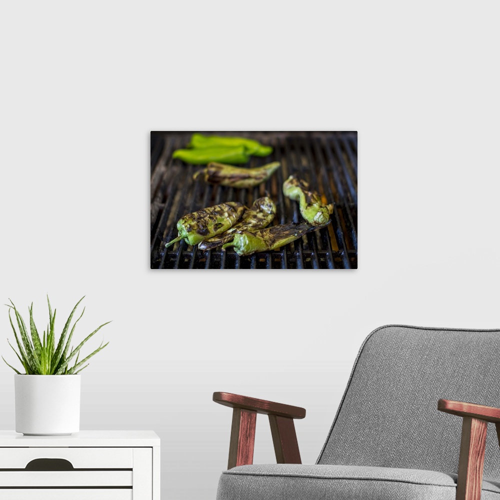 A modern room featuring Close up of charred chilies on grill