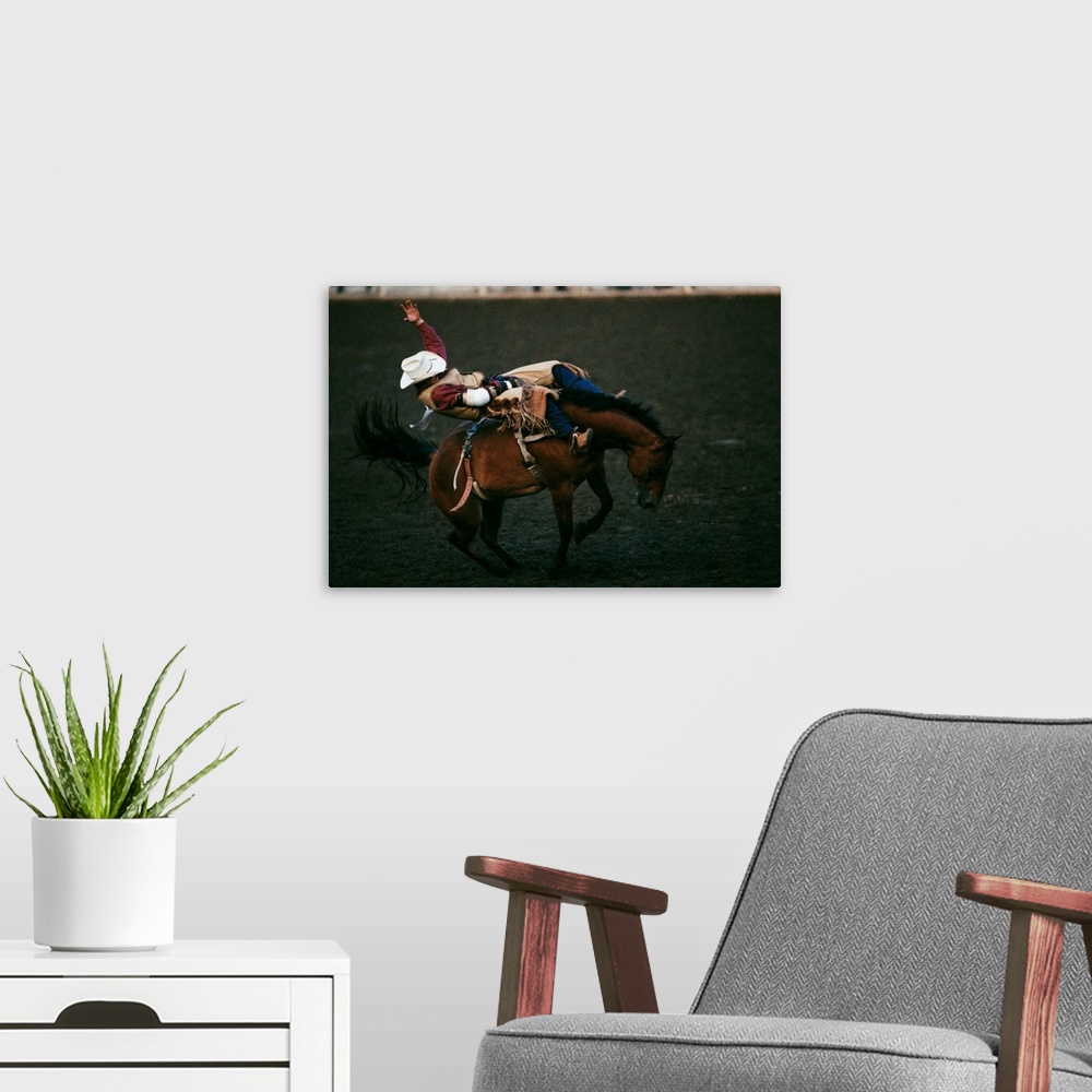 A modern room featuring Cowboy In A Rodeo