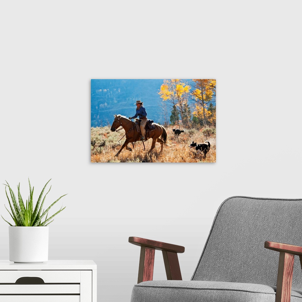 A modern room featuring Cowgirl and her dogs