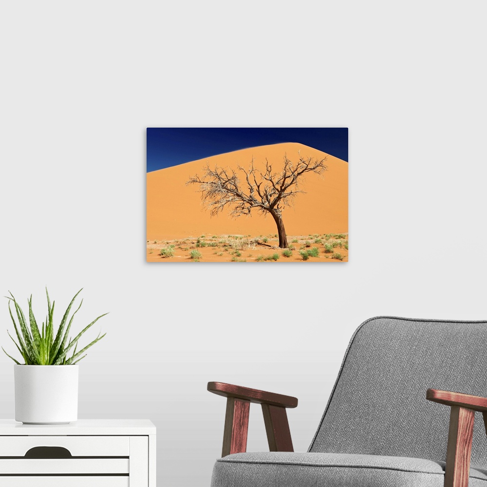 A modern room featuring dead tree at dune 45, desert landscape of Namib at Sossusvlei, Namib-Naukluft National Park, Nami...