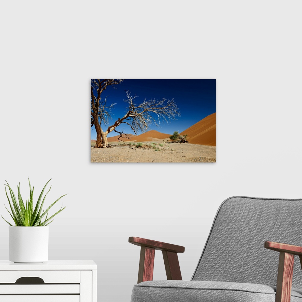 A modern room featuring dead tree at dune 45 in desert Landscape of Namib at Sossusvlei, Namib-Naukluft National Park, Na...