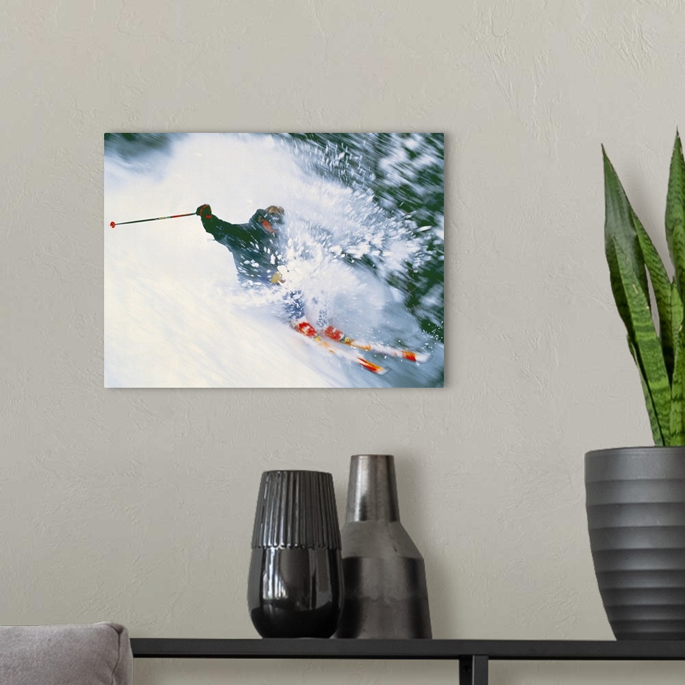A modern room featuring Downhill Skier