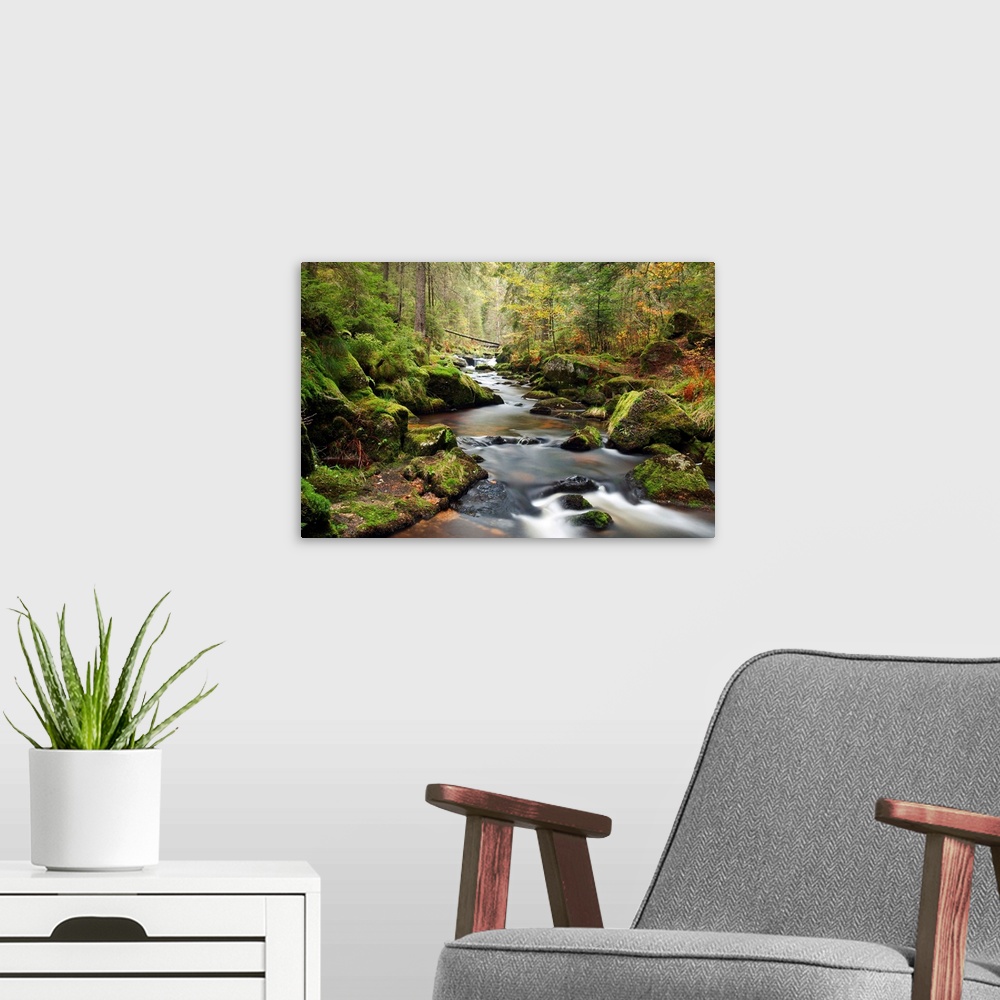 A modern room featuring Picture of the Hotzenwald, which is part of the Black Forest (Schwarzwald) in southern Germany du...