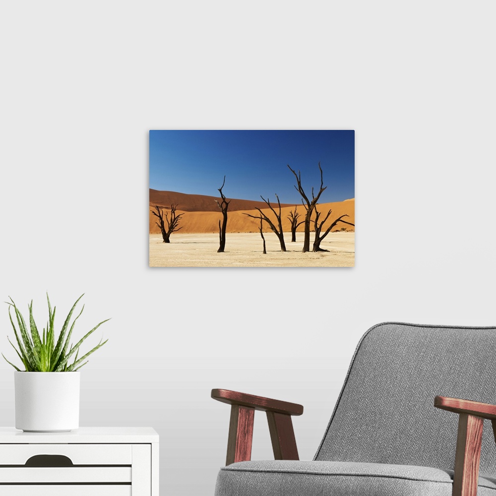 A modern room featuring famous Deadvlei with dead trees, desert landscape of Namib at Sossusvlei, Namib-Naukluft National...