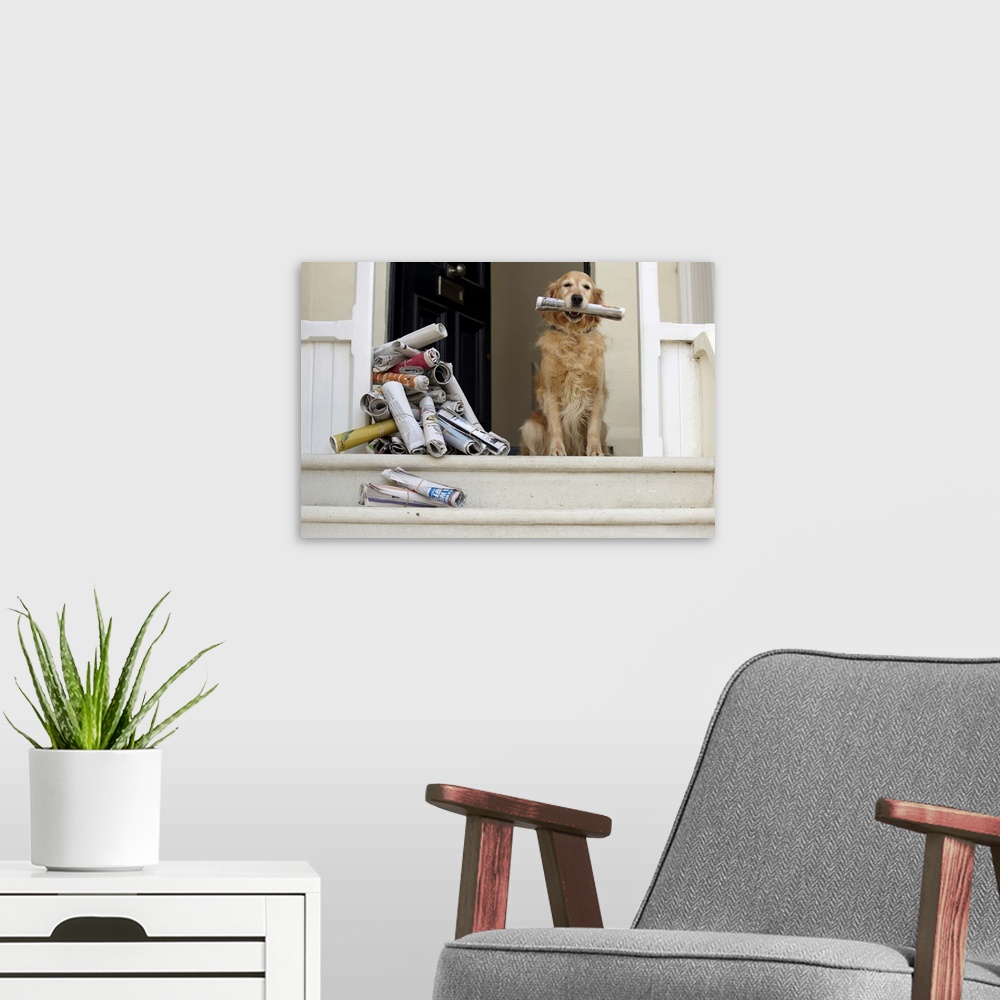 A modern room featuring Golden retriever dog sitting at front door holding newspaper