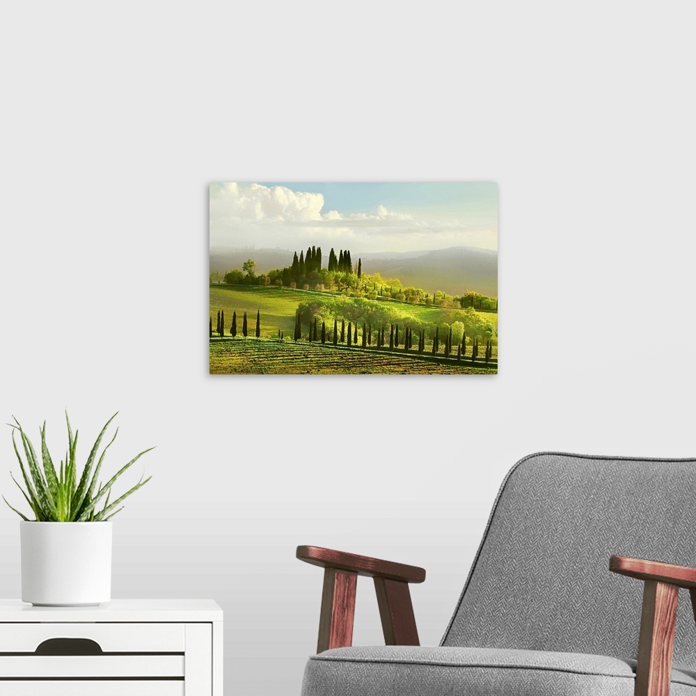 A modern room featuring Artwork done of a massive field in Italy that is covered with several types of trees and a large ...